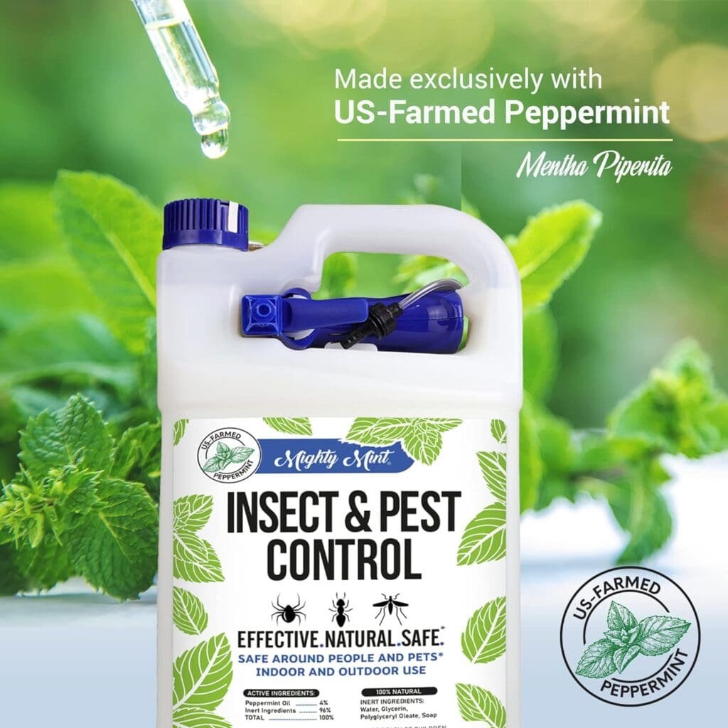 best natural ant repellent