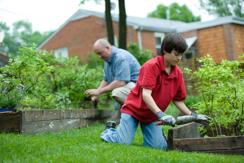 Shop Like A Pro: The Must-Have Pest Control Products Every Homeowner Needs