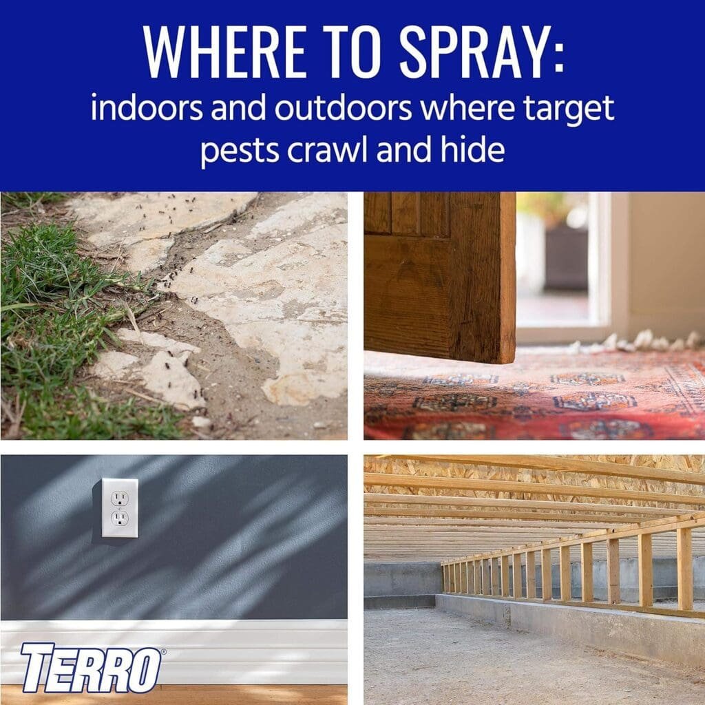 TERRO T2302-6 Spider Killer Spray for Indoors and Outdoors - Kills Spiders, Ants, Roaches, Scorpions, Ticks, Silverfish, and Other Insects