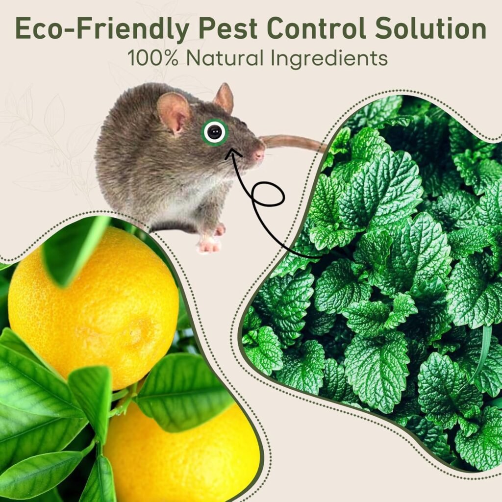 Best Natural Repellent to Get Rid of Mice (Safe, Pet-Friendly & Proven) 3 81mZhjrOcxL. AC SL1500