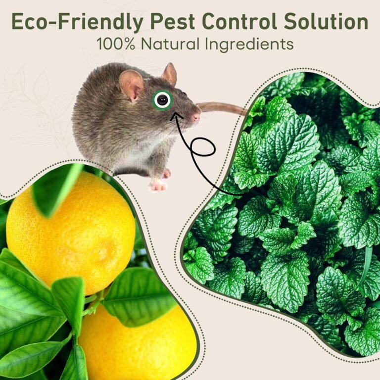 Best Natural Repellent to Get Rid of Mice (Safe, Pet-Friendly & Proven) 1 81mZhjrOcxL. AC SL1500